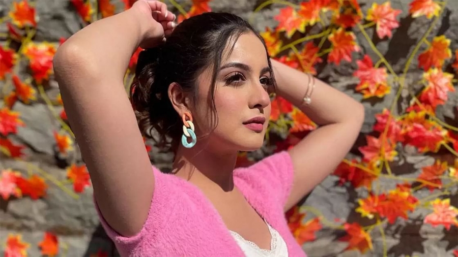 انتحار الممثلة الهندية الشابة تونيشا شارما