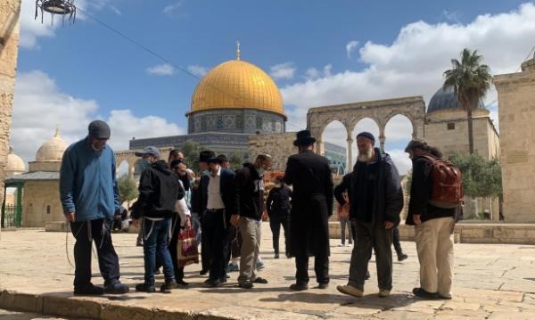 عشرات المستوطنين يقتحمون باحات الأقصى