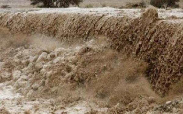 محافظ عجلون: تفعيل خطة الطوارئ للتعامل مع الظروف الجوية