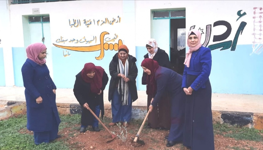 الطويل : زراعة حدائق المدرسة باشجار الزيتون ياتي بهدف التنمية الاقتصادية والبيئية في المدرسة