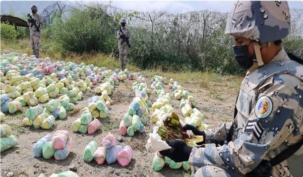 السعودية ..إحباط محاولات تهريب 29.2 طن من القات وطن و766 كيلوجرامًا من الحشيش المخدر..صور