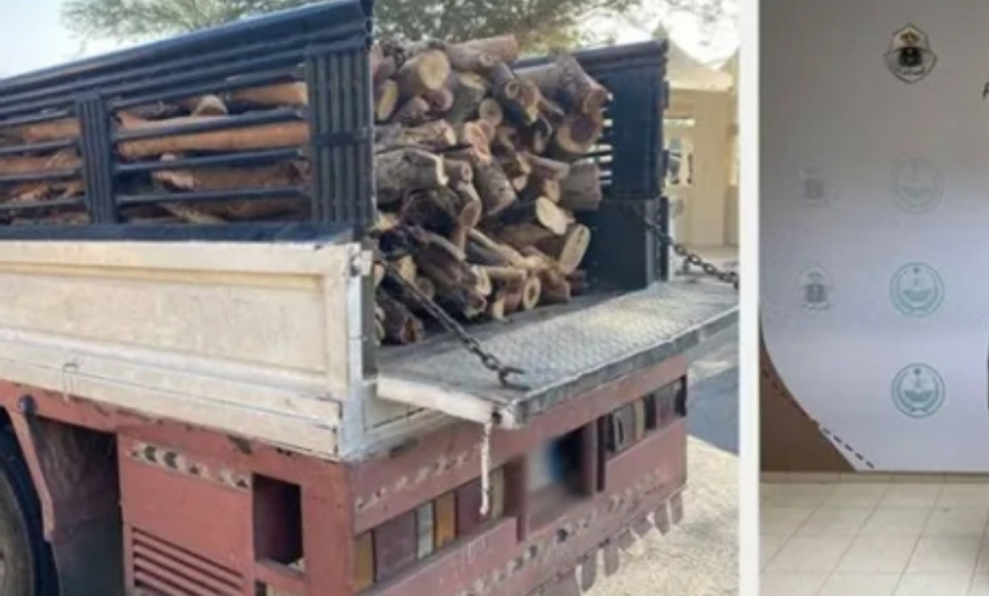 السعودية ..ضبط مواطنًا مخالفًا لنظام البيئة بحوزته كمية من الحطب المحلي