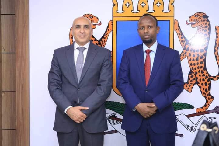 مصر تقدم مساعدات غذائية وطبية إلى الصومال_صور