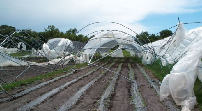 طقس العرب يوصي بحماية البيوت البلاستيكية في الأغوار