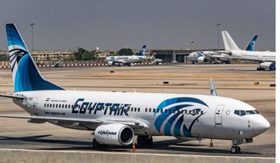 مصر.. إحباط تهريب كمية من ثعابين البحر