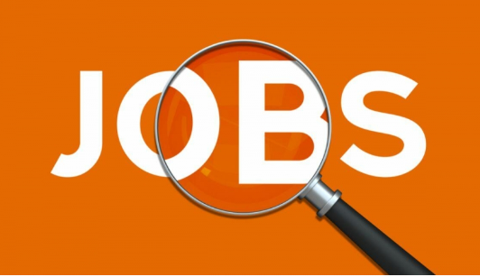 مؤسسات حكومية تعلن حاجتها لتعيين وتعبئة وظائف شاغرة