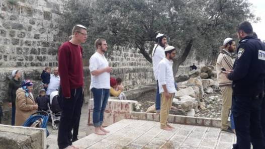 مستوطنون يقتحمون ويدنسون المقامات الإسلامية في سلفيت