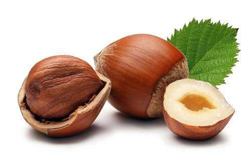 تركيا .. 1.7 مليار دولار صادرات البندق في 2022