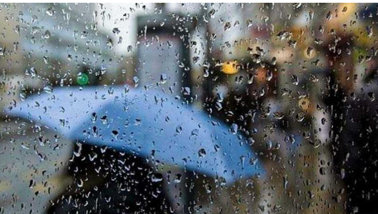 أجواء باردة وسقوط زخات من المطر السبت