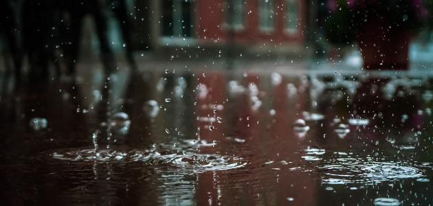 إربد تسجل أعلى كمية هطول مطري