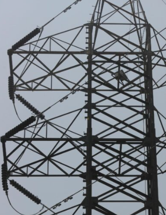 “الطاقة” تؤكد ضرورة الإبقاء على جاهزية عالية لشركات الكهرباء للتعامل مع المنخفض