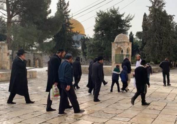 عشرات المستوطنين يقتحمون الاقصى بحراسة شرطة الاحتلال