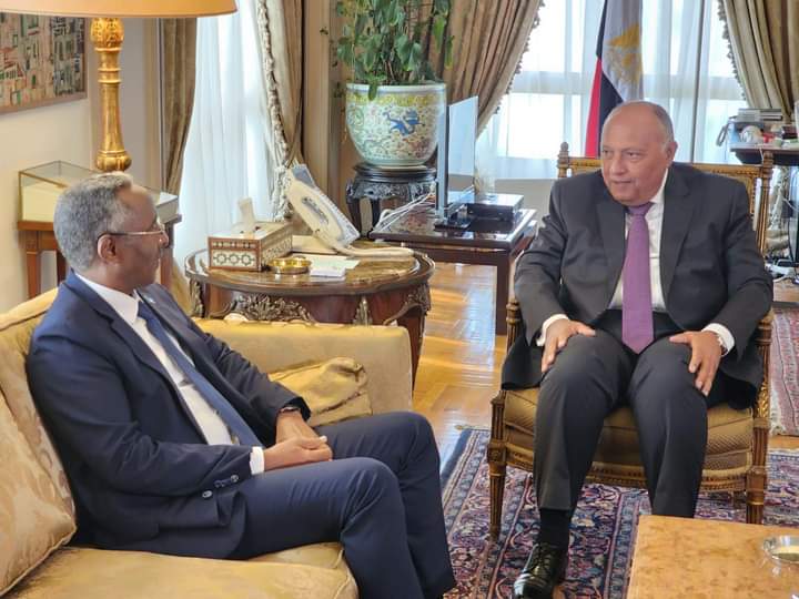 وزير الخارجية المصري يستقبل وزير الشئون الخارجية والتعاون الدولي الصومالي