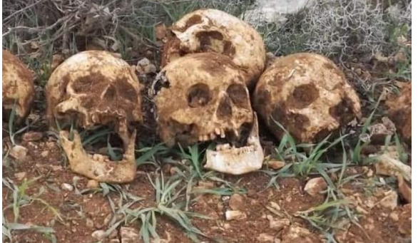 تحقيق فلسطيني لمعرفة عودة الرفات المكتفشة لجنود أردنيين