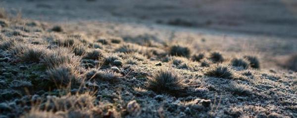 الخميس .. أجواء باردة وتحذير من تشكل الصقيع فوق المرتفعات