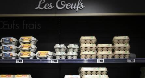 اميركا.. البيض أصبح من السلع الفاخرة..