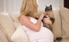 القطط تهدد المرأة الحامل والجنين.. ما هي المخاطر