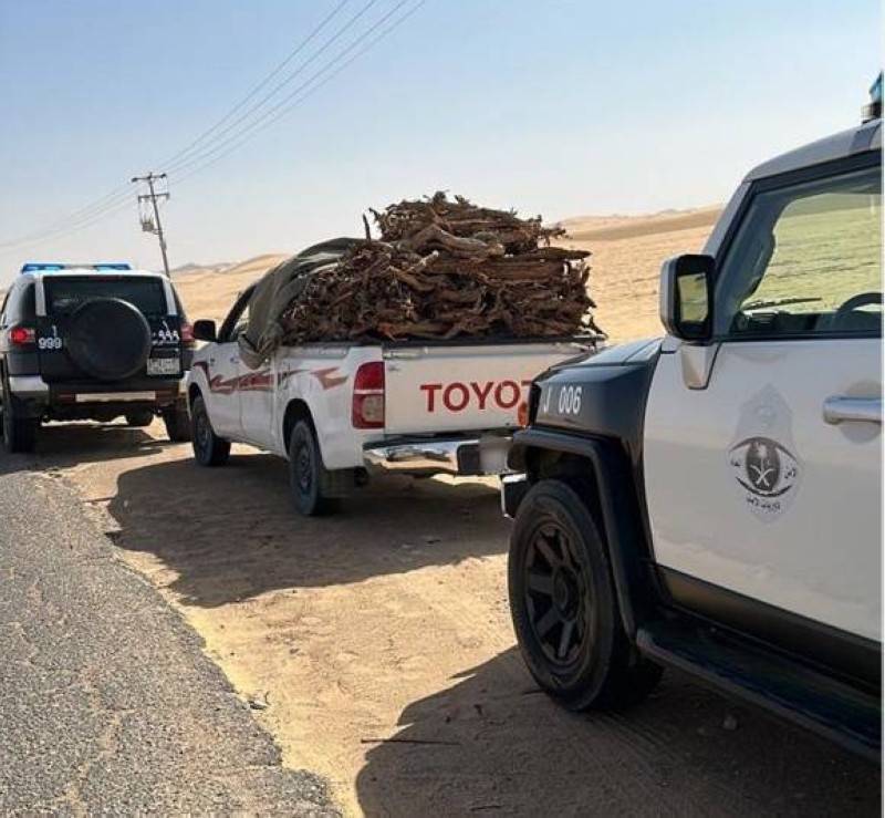 السعودية ..دوريات الأمن تضبط 6 مخالفين لنظام البيئة في مناطق عدة