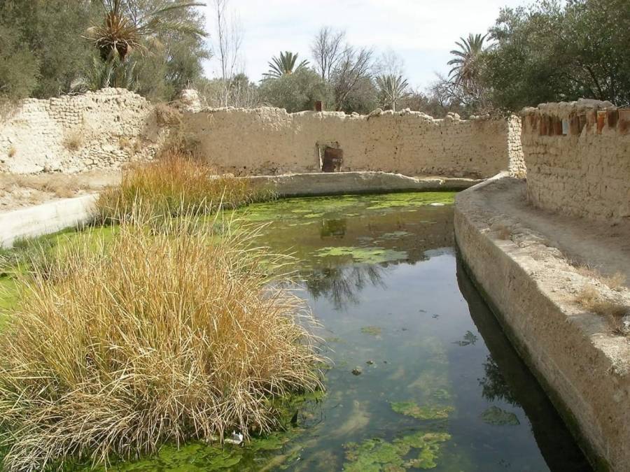 بساتين الشامية في معان.. فرص استثمارية تحمل البعدين الاقتصادي والسياحي