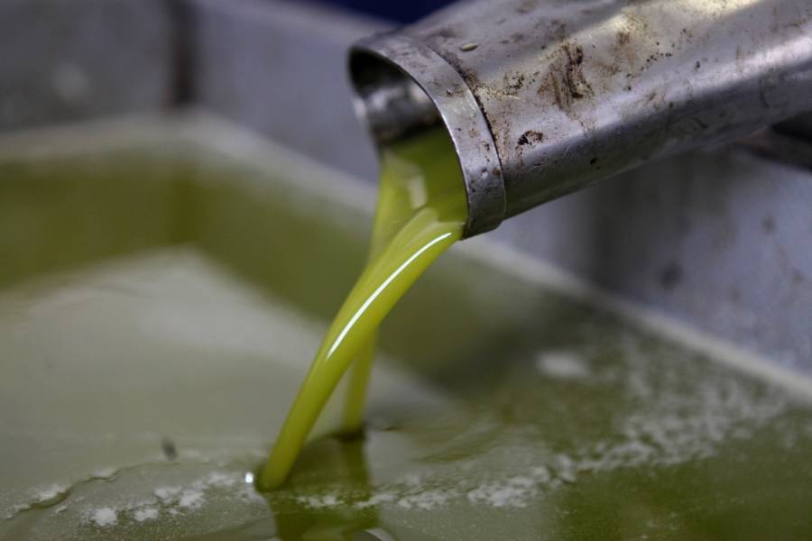 كميات الزيت المنتجة هذا الموسم تحقق الاكتفاء الذاتي للمملكة