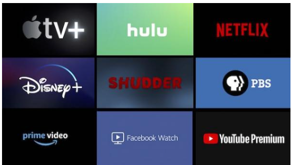 التوصيات الأردنية..حذف المقاطع الإباحية والألفاظ غير الأخلاقية على نتفليكس وديزني لمن هم دون 18 عاماً