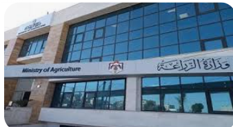 وزارة الزراعة تكشف تفاصيل مشاريع التحريج في الأردن