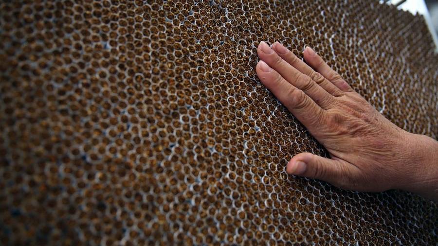 تفكيك مصنع ضخم للسجائر المقلدة في فرنسا