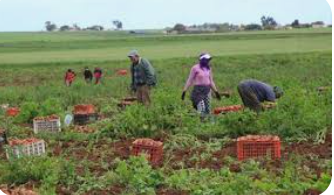 دورة لتأهيل الشباب في القطاع الزراعي بإربد