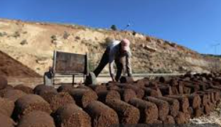 جفت الزيتون وسيلة آمنة للتدفئة ورخيصة الثمن