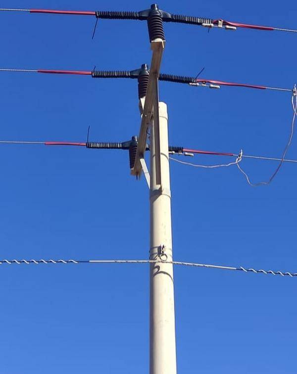 بتمويل أوروبي .. عزل خط كهرباء لمنع انقطاع التيار جراء صعق الطيور