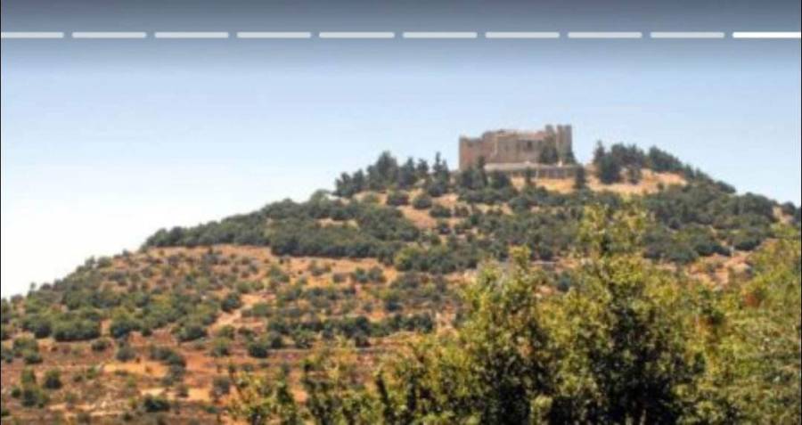 5 حافظات من قرية حلاوة في عجلون باختبار المصحف كاملاً