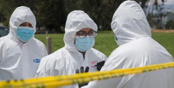 بعد تطور مقلق..مخاوف من تحول إنفلونزا الطيور لـوباء بشري