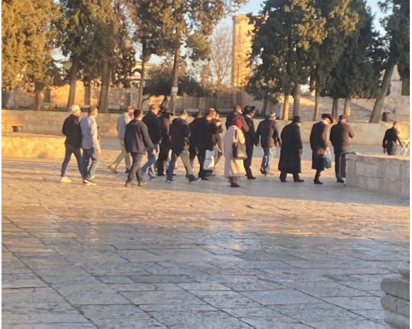 عشرات المستوطنين يقتحمون الأقصى