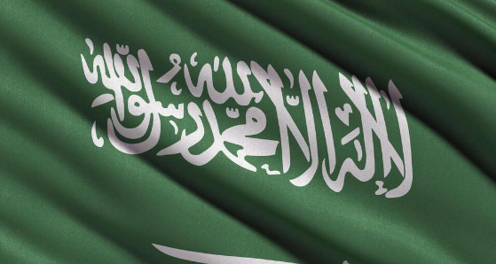 السعودية.. إجراء حكومي سيساهم في انخفاض أسعار العقارات