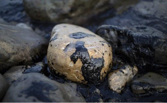 حكومة الخصاونة تقبل عرضا لاستغلال الصخر الزيتي