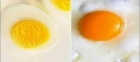 أيهما أكثر فائدة البيض المسلوق أم البيض المقلي