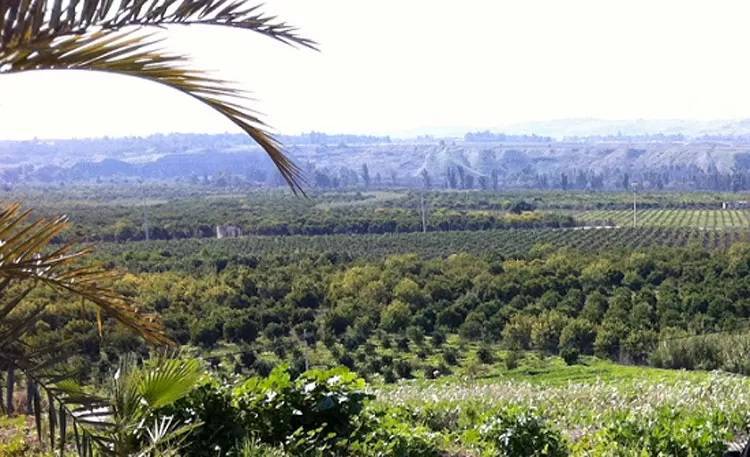 سياحة شتوية نشطة بالأغوار الشمالية وسط الحاجة لاستثمار ميزاتها الطبيعية