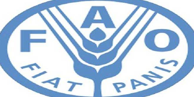 الفاو: معدلات سوء التغذية تسجل رقماً قياسياً في أفغانستان