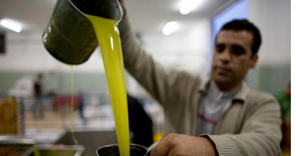 حملة ترويجية لزيت الزيتون الأردني المعمر