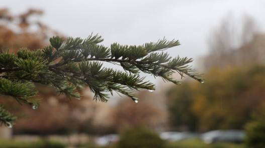 استمرار الكتلة شديدة البرودة حتى الخميس وتوقع ثلوج فوق قمم 1100 متر