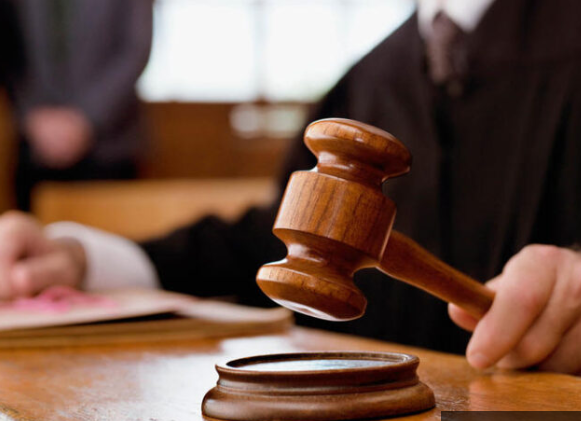 براءة صاحب مزرعة “فقوس” من قتل ” نحل” أثناء عمله في إنتاج العسل