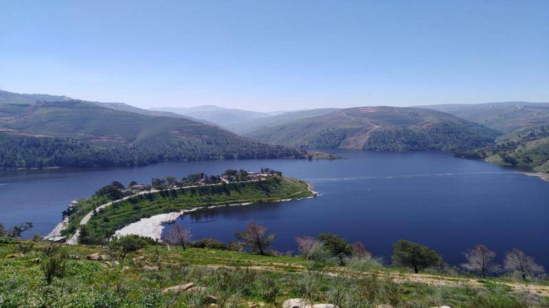 المياه: 31 نسبة تخزين السدود