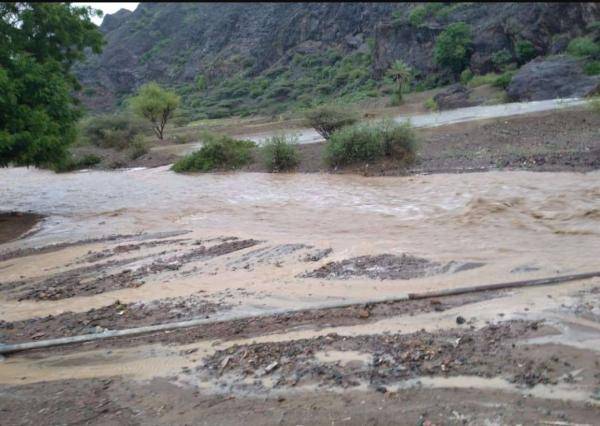 تحذير للمزارعين ومربي المواشي من تشكل السيول في وادي الأردن