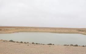 مربي المواشي بالكرك يلجأون للحفائر المائية