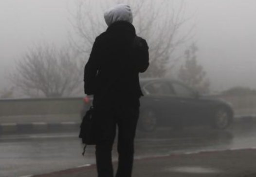 الكرك: أمطار خمسينية الشتاء تنعش آمال المزارعين