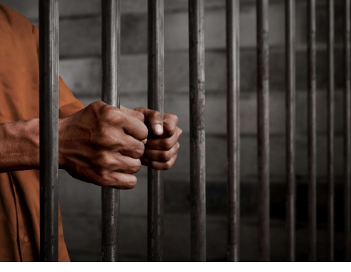 المحكمة تقرر حبس شقيقين بعد ادانتهما بقتل كلب والسرقة  تفاصيل