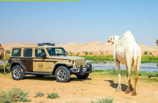 السعودية ..4 أضرار للرعي الجائر تحذر منها “وزارة البيئة”.. تعرف عليها