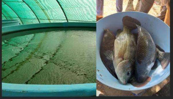 حداد: تعزيز البحث العلمي لإيجاد حلول لتحديات قطاع الأسماك