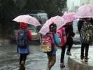 التربية لا تأجيل لدوام طلبة المدارس الأحد نظرا للظروف الجوية