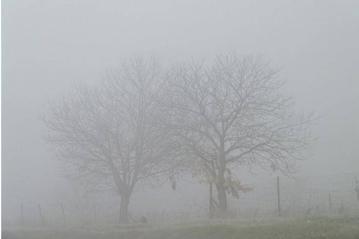 الشاكر يكشف تفاصيل فرصة تساقط الثلوج في الأردن الاثنين والثلاثاء